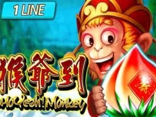 Ho Yeah Monkey